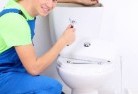 Fish Pointtoilet-replacement-plumbers-11.jpg; ?>